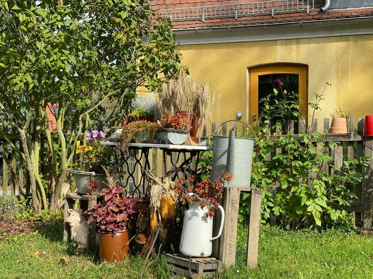 Moderne Pension Vonbartsch Mit Ladestation In Der Saechsischen Schweiz Struppen Exterior foto